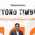 Beyond Timber เมื่อป่าเศรษฐกิจมีค่ามากกว่าที่คิด