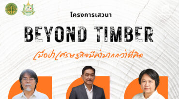 Beyond Timber เมื่อป่าเศรษฐกิจมีค่ามากกว่าที่คิด