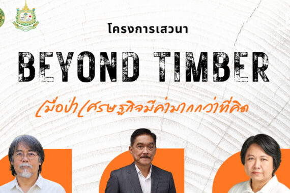 Beyond Timber เมื่อป่าเศรษฐกิจมีค่ามากกว่าที่คิด