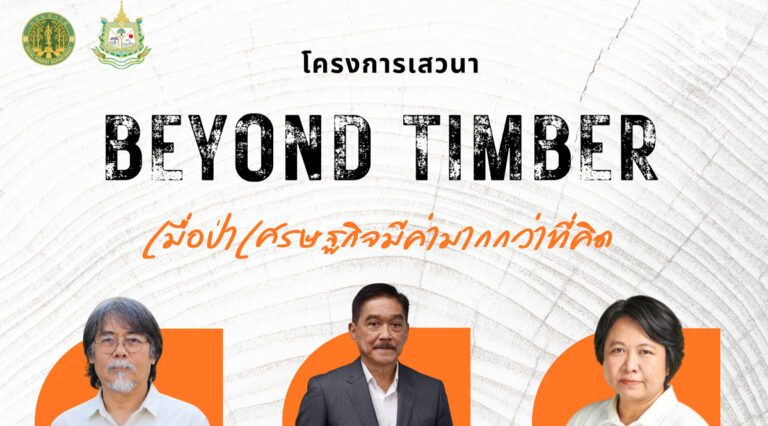 Beyond Timber เมื่อป่าเศรษฐกิจมีค่ามากกว่าที่คิด