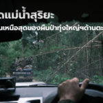 จุดสกัดแม่น้ำสุริยะ ปราการด้านเหนือสุดของผืนป่าทุ่งใหญ่นเรศวรด้านตะวันตก