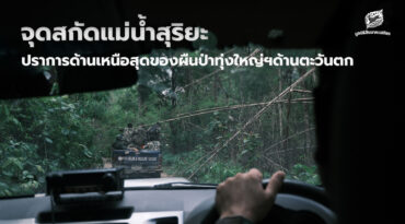 จุดสกัดแม่น้ำสุริยะ ปราการด้านเหนือสุดของผืนป่าทุ่งใหญ่นเรศวรด้านตะวันตก