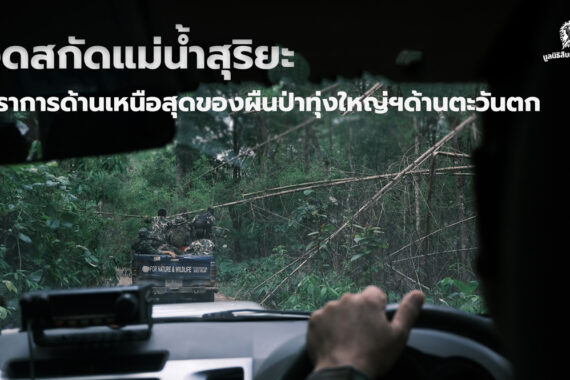 จุดสกัดแม่น้ำสุริยะ ปราการด้านเหนือสุดของผืนป่าทุ่งใหญ่นเรศวรด้านตะวันตก