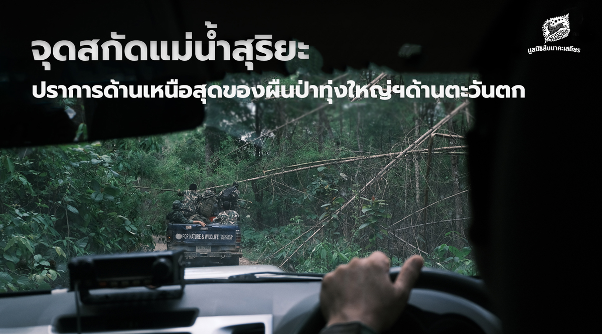จุดสกัดแม่น้ำสุริยะ ปราการด้านเหนือสุดของผืนป่าทุ่งใหญ่นเรศวรด้านตะวันตก