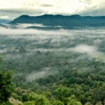 สถานการณ์ป่าไม้ และรูปแบบการเปลี่ยนแปลงสภาพพื้นที่ พ.ศ. 2568
