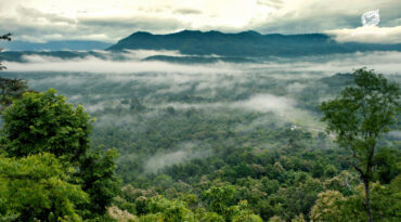 สถานการณ์ป่าไม้ และรูปแบบการเปลี่ยนแปลงสภาพพื้นที่ พ.ศ. 2568