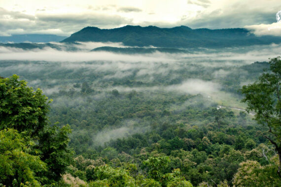 สถานการณ์ป่าไม้ และรูปแบบการเปลี่ยนแปลงสภาพพื้นที่ พ.ศ. 2568