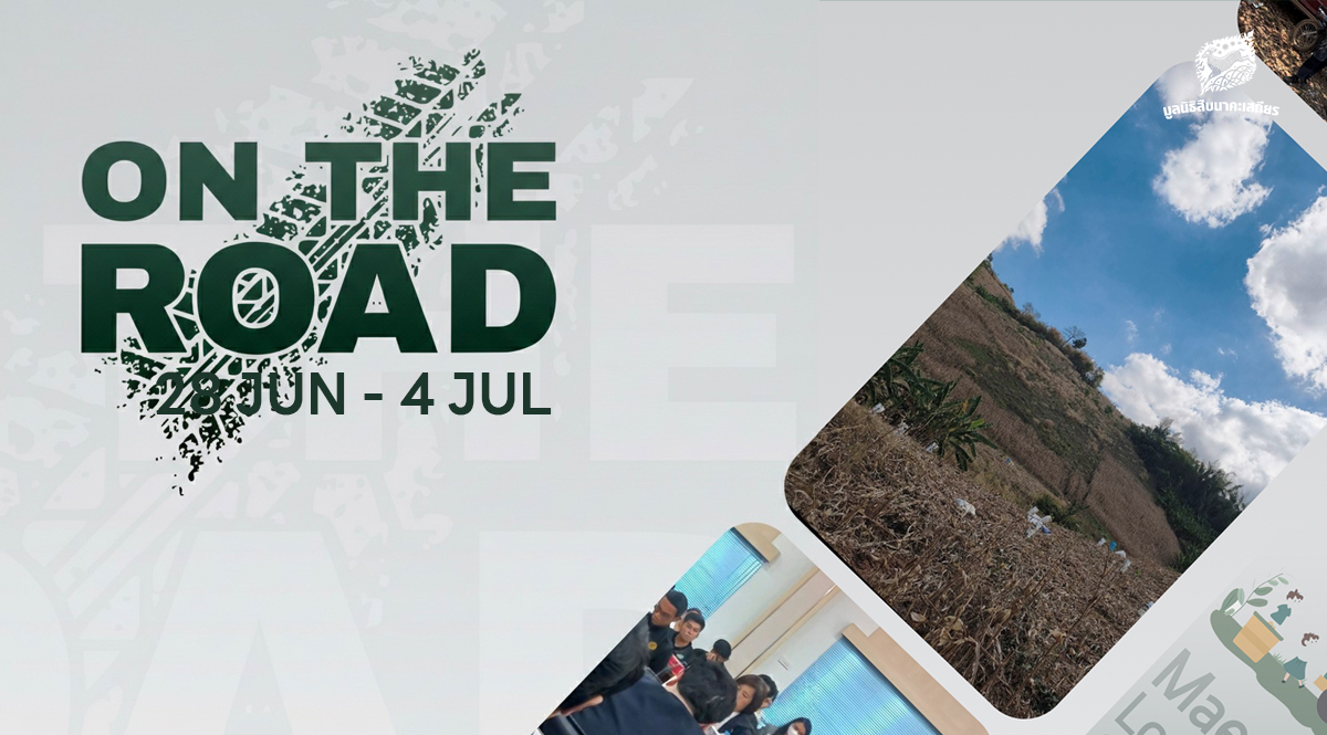 On the Road 28 มิถุนายน – 4 กรกฎาคม 2569