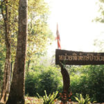 ‘หน่วยพิทักษ์ป่า’ ปราการด่านหน้าแห่งพงไพร