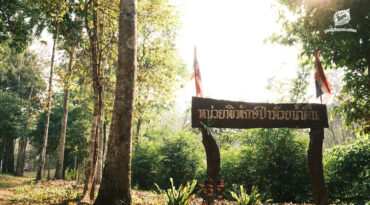 ‘หน่วยพิทักษ์ป่า’ ปราการด่านหน้าแห่งพงไพร