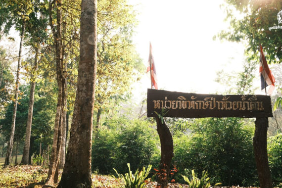 ‘หน่วยพิทักษ์ป่า’ ปราการด่านหน้าแห่งพงไพร