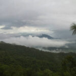 เขาสนามเพรียง จากเกาะป่าใกล้เมือง สู่การคืนทางเดินให้สัตว์ป่า