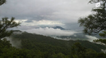 เขาสนามเพรียง จากเกาะป่าใกล้เมือง สู่การคืนทางเดินให้สัตว์ป่า