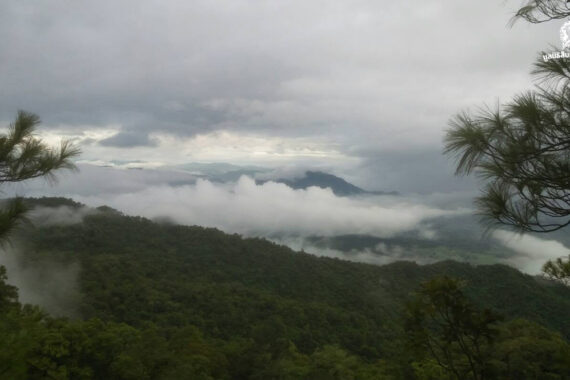 เขาสนามเพรียง จากเกาะป่าใกล้เมือง สู่การคืนทางเดินให้สัตว์ป่า