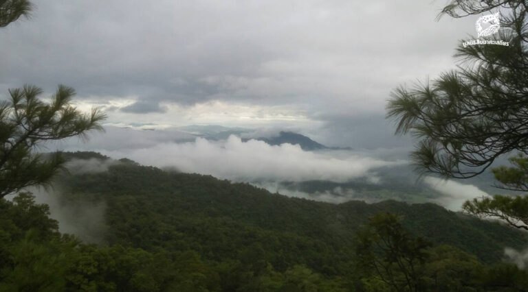 เขาสนามเพรียง จากเกาะป่าใกล้เมือง สู่การคืนทางเดินให้สัตว์ป่า