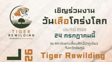 วันเสือโคร่งโลก ประจำปี 2569 Tiger Rewilding : คืนเสียงคำราม คืนความสมดุล
