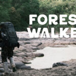 บทบันทึกจากผู้เข้าร่วมกิจกรรม Forest Walker 02 – The Wildlife Trail ณ เขตรักษาพันธุ์สัตว์ป่าห้วยขาแข้ง