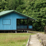 ผืนป่า บ้านของเราทุกคน รำลึก 36 ปี สืบ นาคะเสถียร