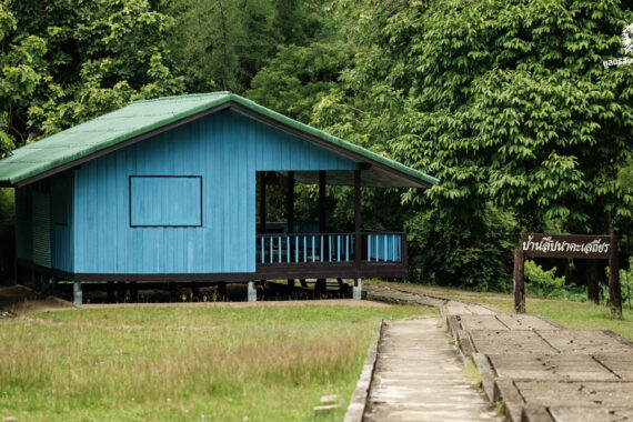 ผืนป่า บ้านของเราทุกคน รำลึก 36 ปี สืบ นาคะเสถียร