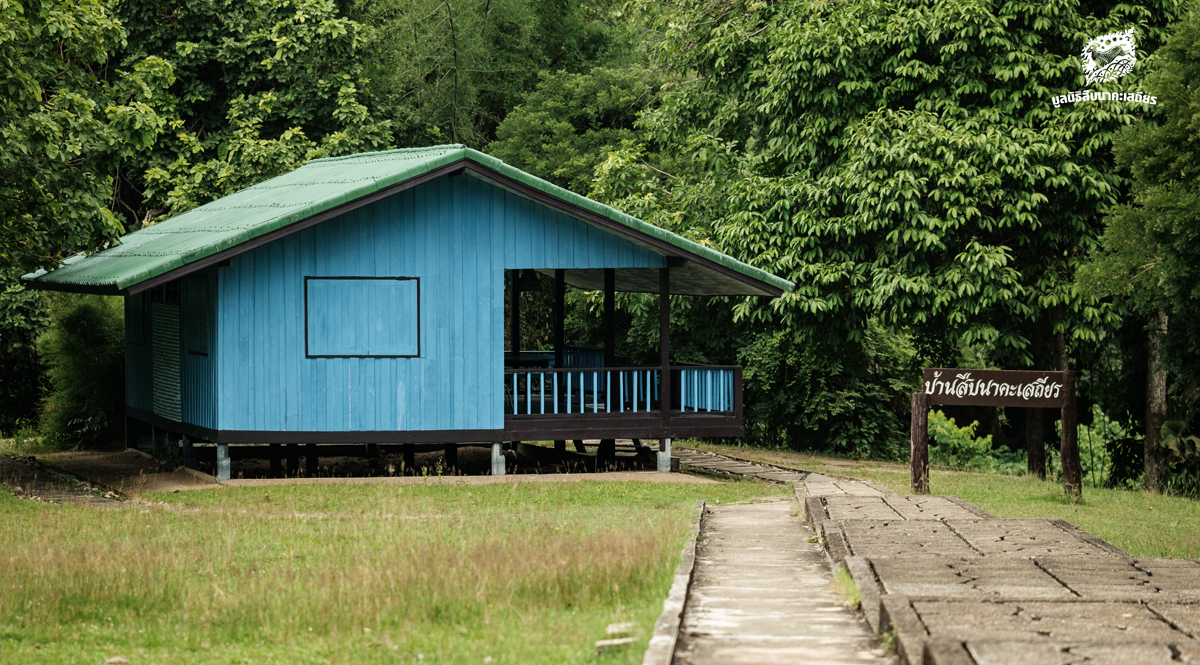 ผืนป่า บ้านของเราทุกคน รำลึก 36 ปี สืบ นาคะเสถียร