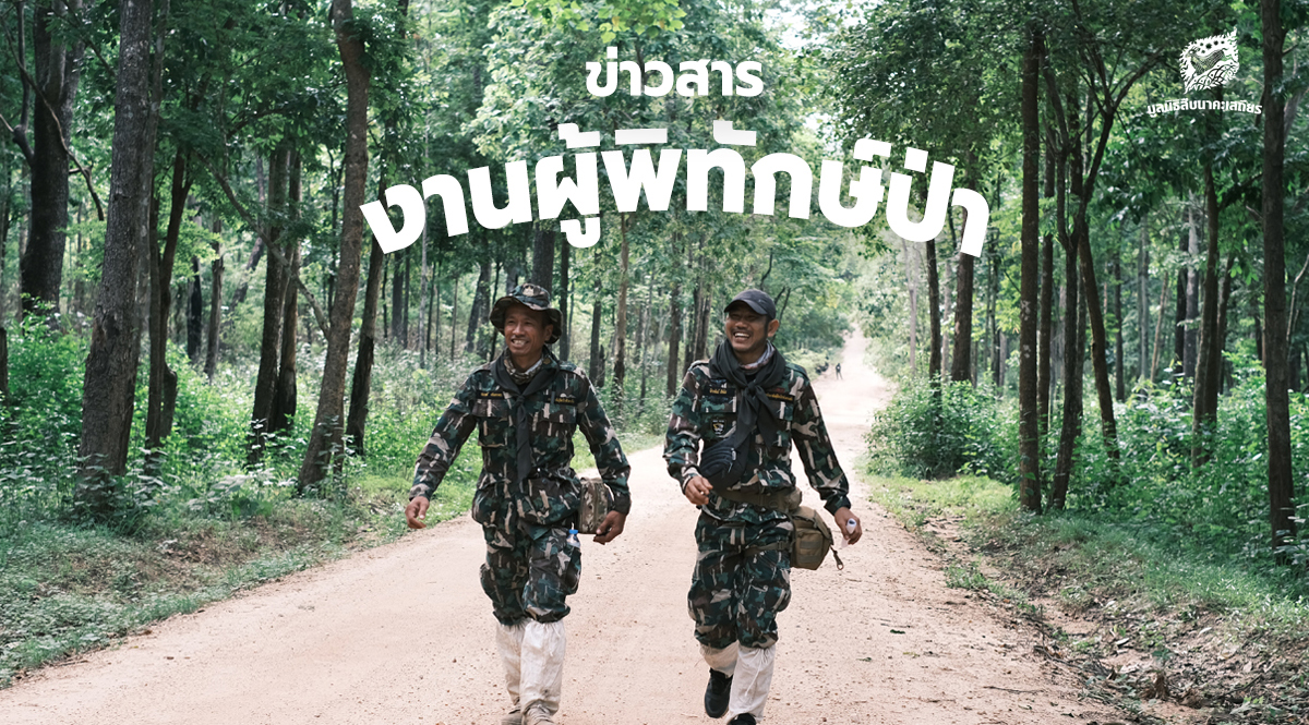 ข่าวสารงานผู้พิทักษ์ป่า ประจำเดือนพฤษภาคม – สิงหาคม 2569