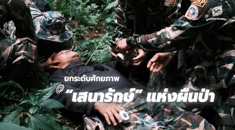 ยกระดับศักยภาพ เสนารักษ์ แห่งผืนป่า￼