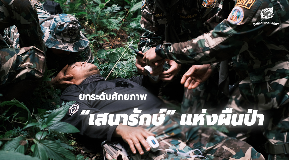 ยกระดับศักยภาพ เสนารักษ์ แห่งผืนป่า￼