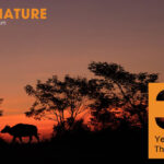 นิทรรศการภาพถ่ายสัตว์ป่าและธรรมชาติ The SixNature : Wildlife Photojournalism 30 Years of Journey Through the Wild