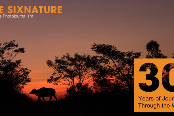 นิทรรศการภาพถ่ายสัตว์ป่าและธรรมชาติ The SixNature : Wildlife Photojournalism 30 Years of Journey Through the Wild